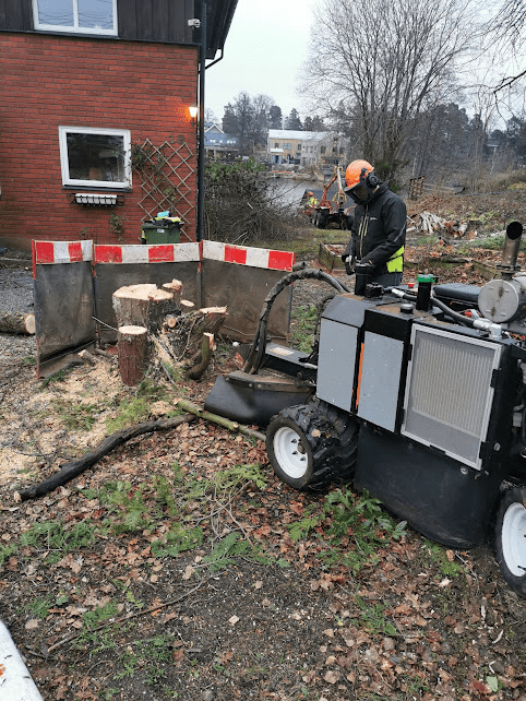 Stubbfräsning Danderyd
