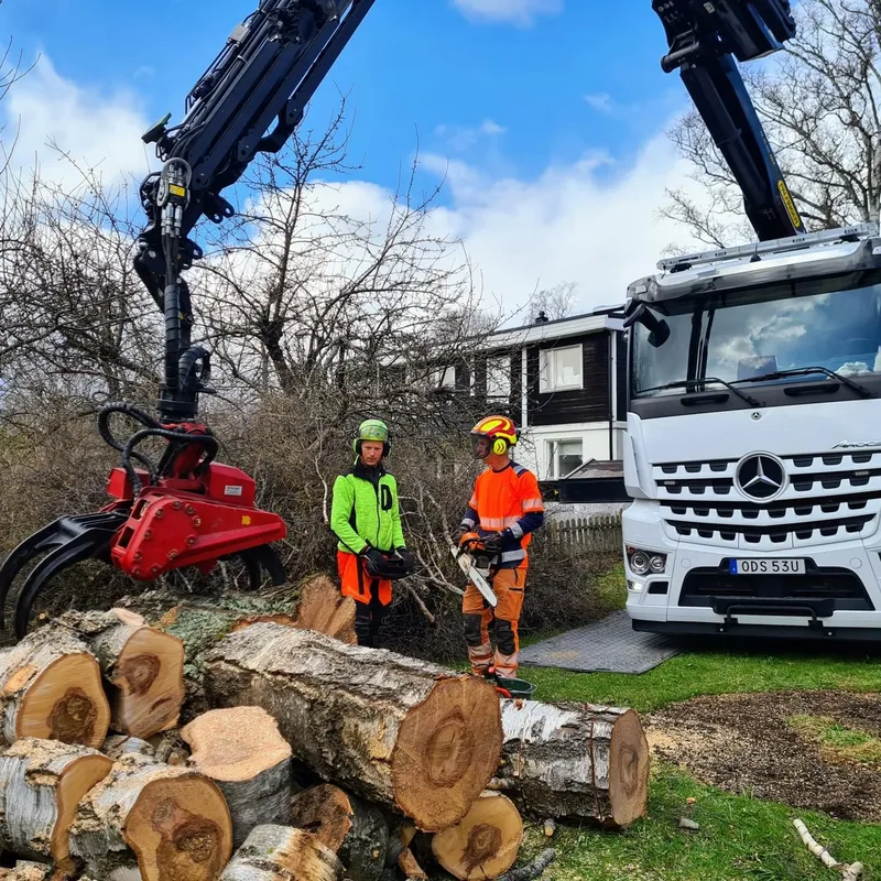 Bortforsling Danderyd